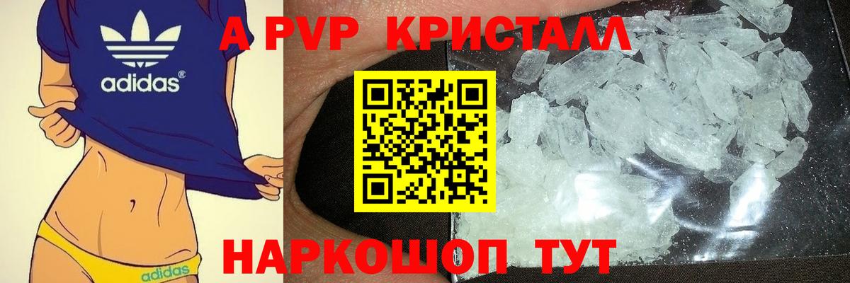 Альфа ПВП СК Пугачёв