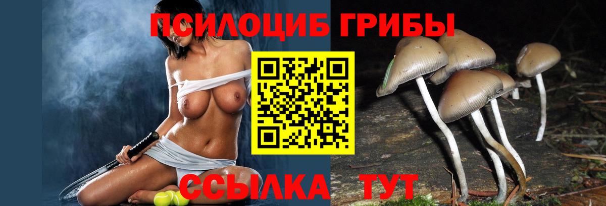 Галлюциногенные грибы прущие грибы  Вход с VPN  Пугачёв 