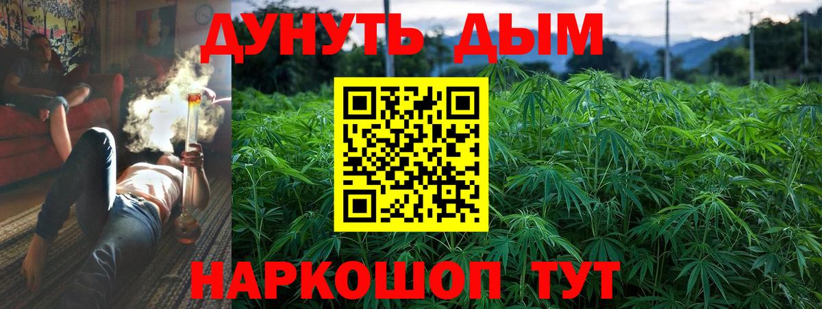Бошки марихуана Ganja Пугачёв